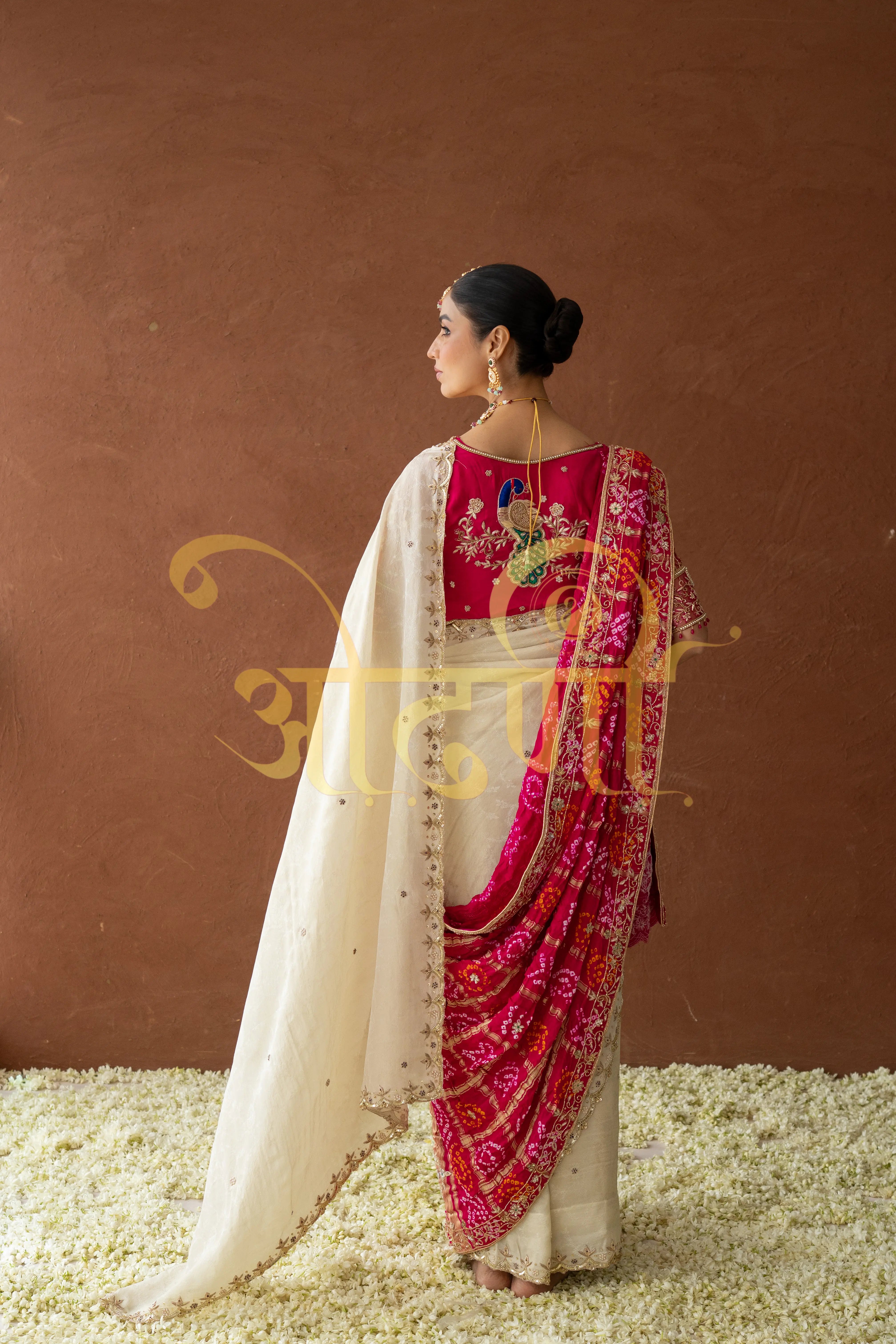 Tissue Silk Saree with Cutwork & Pure Zardozi Handwork