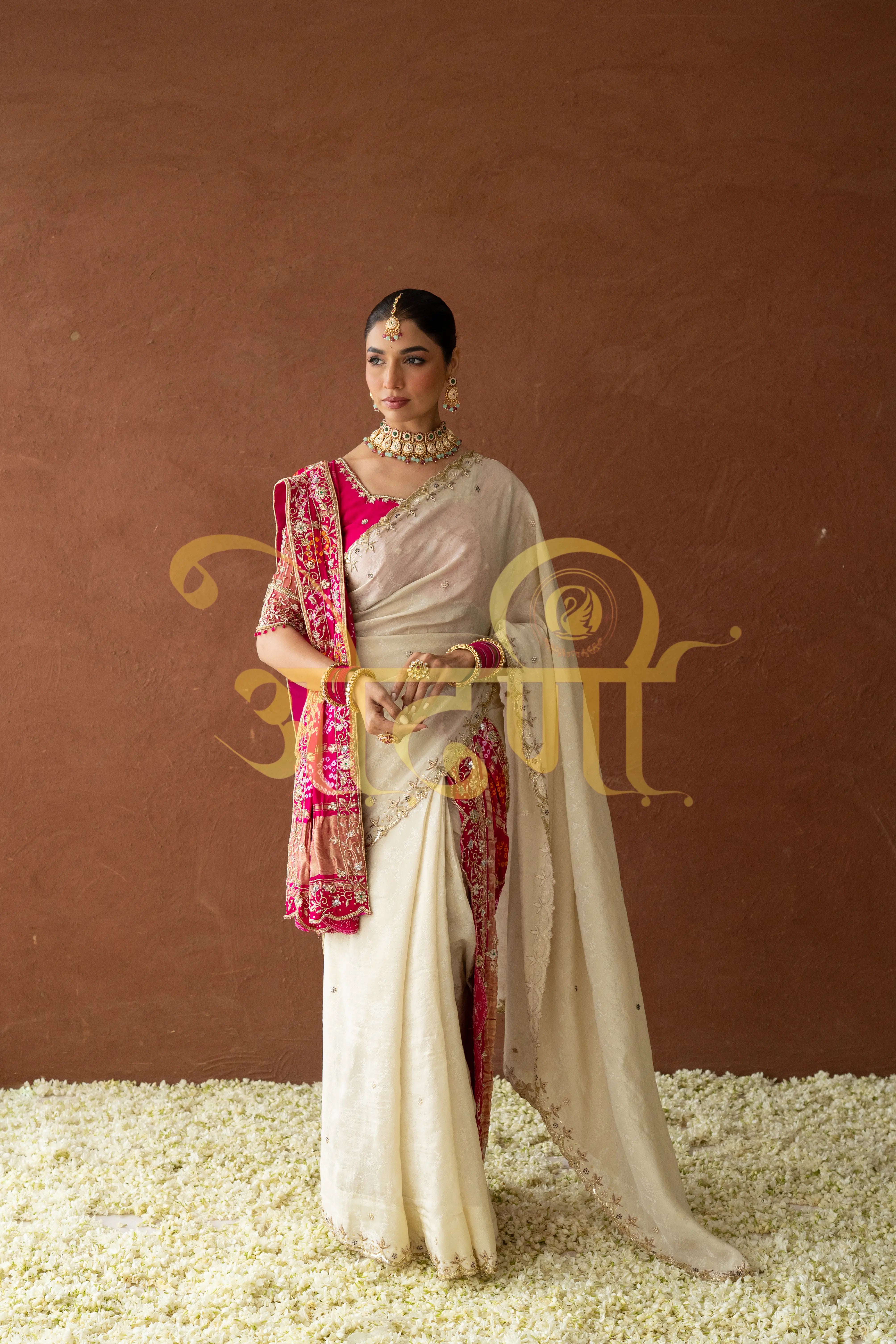 Tissue Silk Saree with Cutwork & Pure Zardozi Handwork