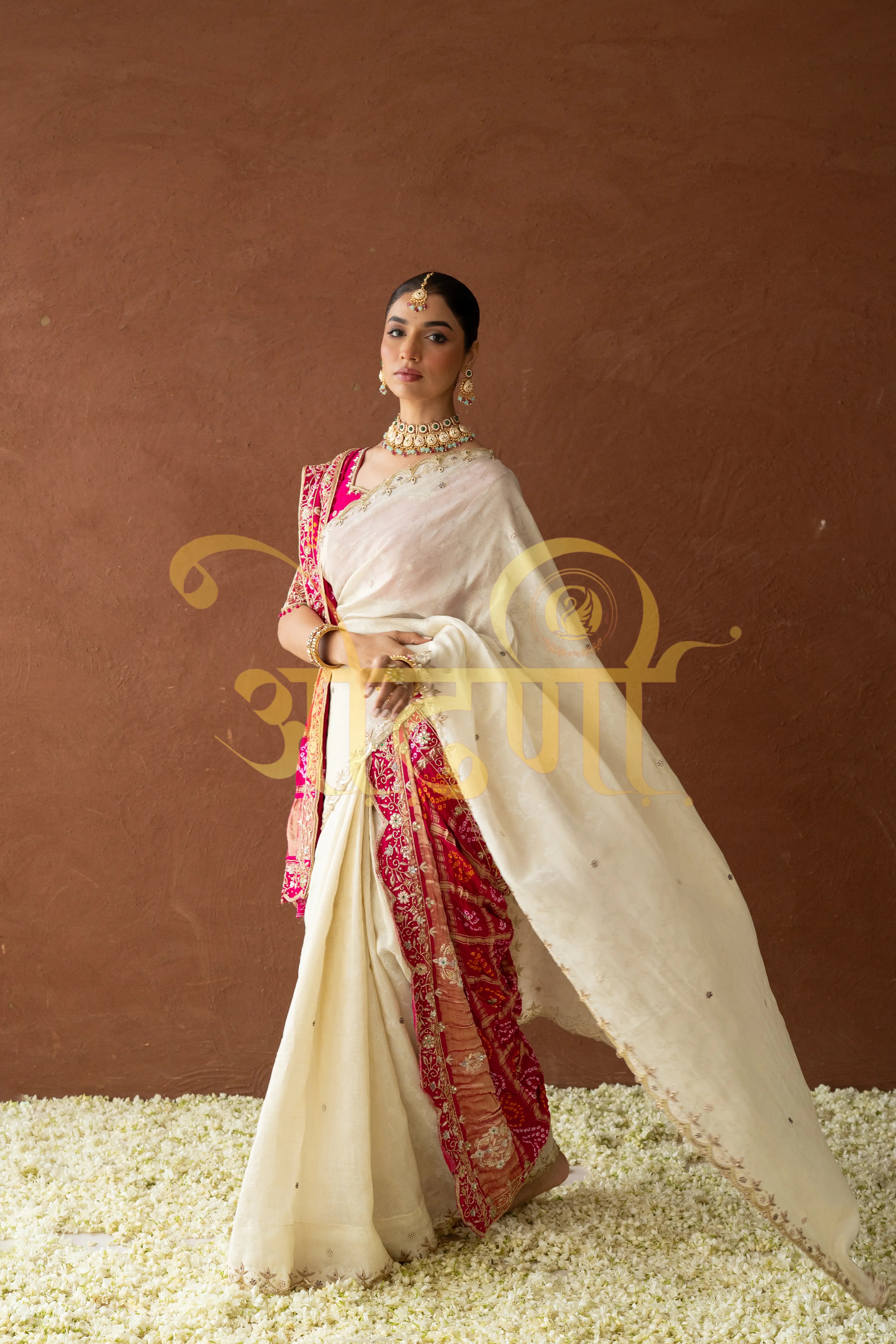 Tissue Silk Saree with Cutwork & Pure Zardozi Handwork