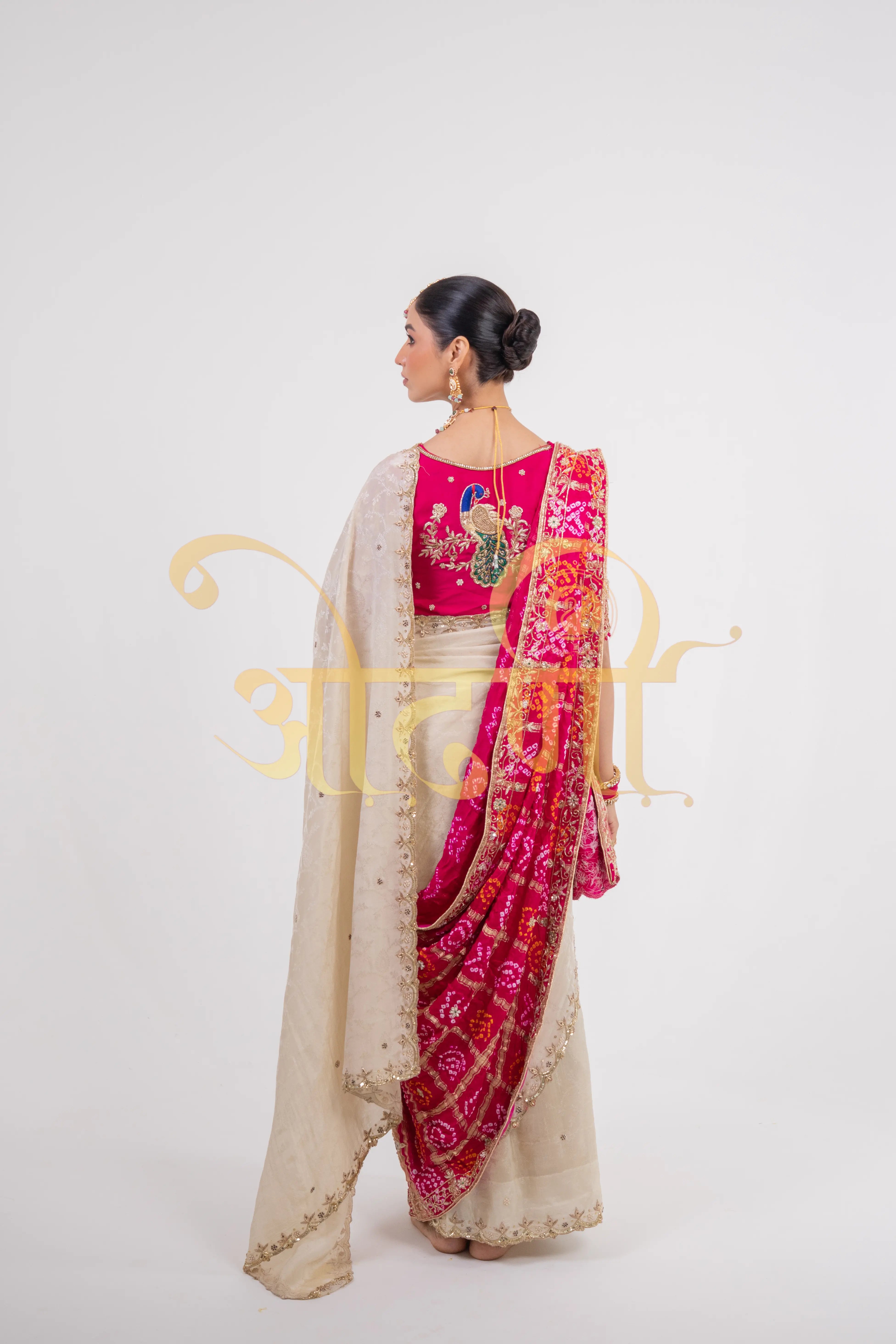 Tissue Silk Saree with Cutwork & Pure Zardozi Handwork