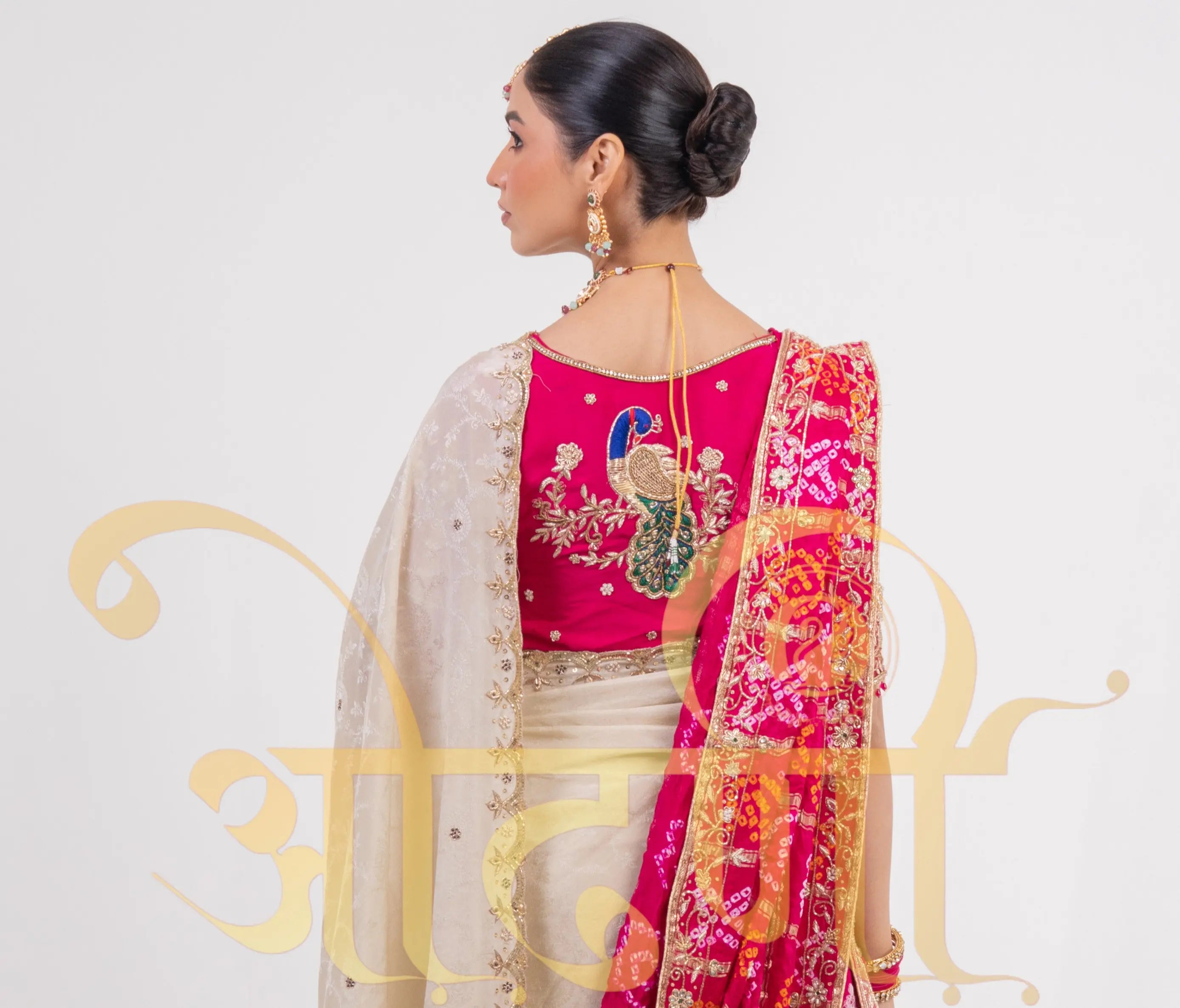 Tissue Silk Saree with Cutwork & Pure Zardozi Handwork