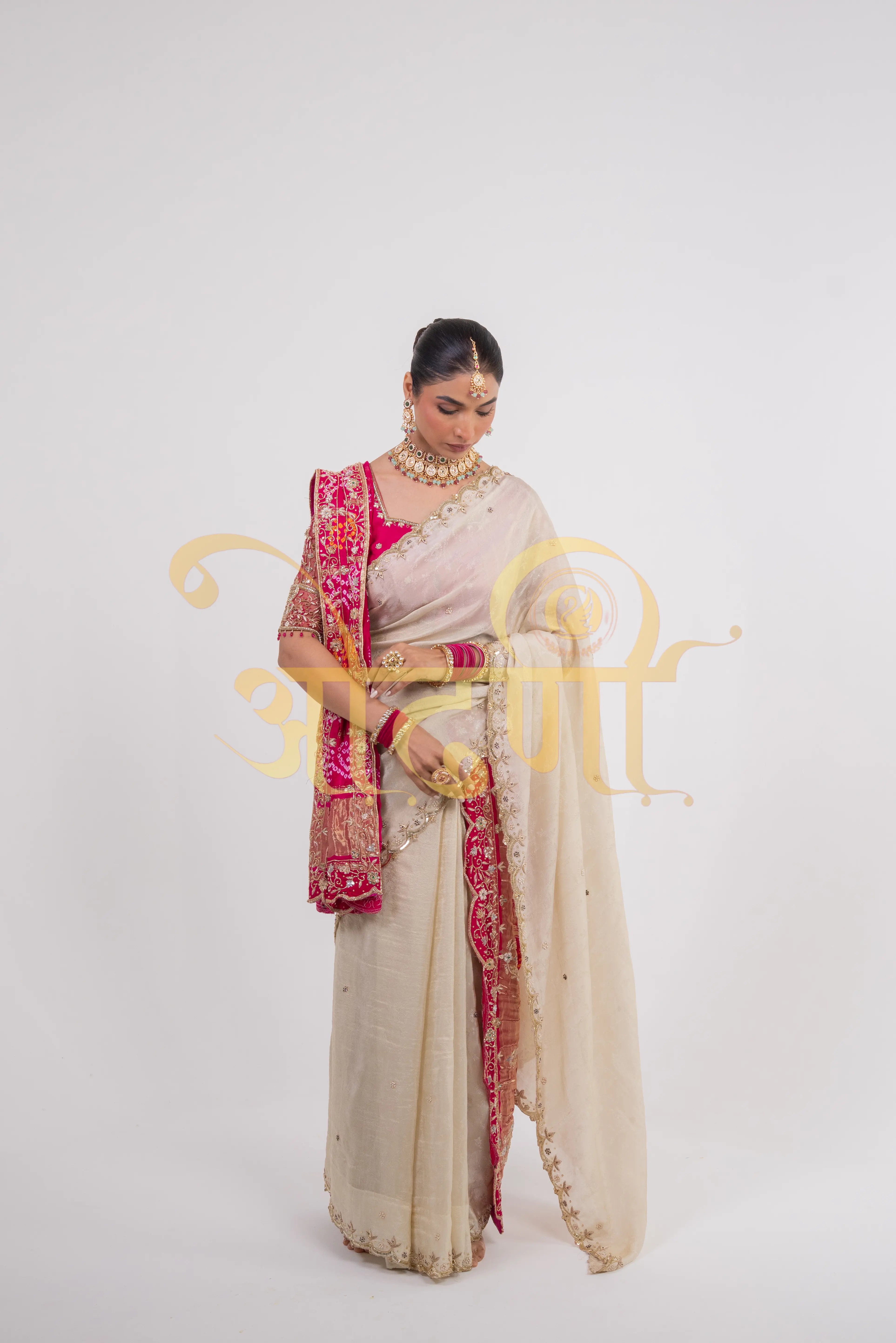 Tissue Silk Saree with Cutwork & Pure Zardozi Handwork