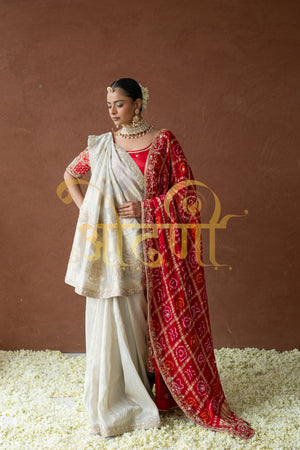 TISSUE SILK SAREE WITH ZARDOZI AND BEATS HANDWORK ##SR0279