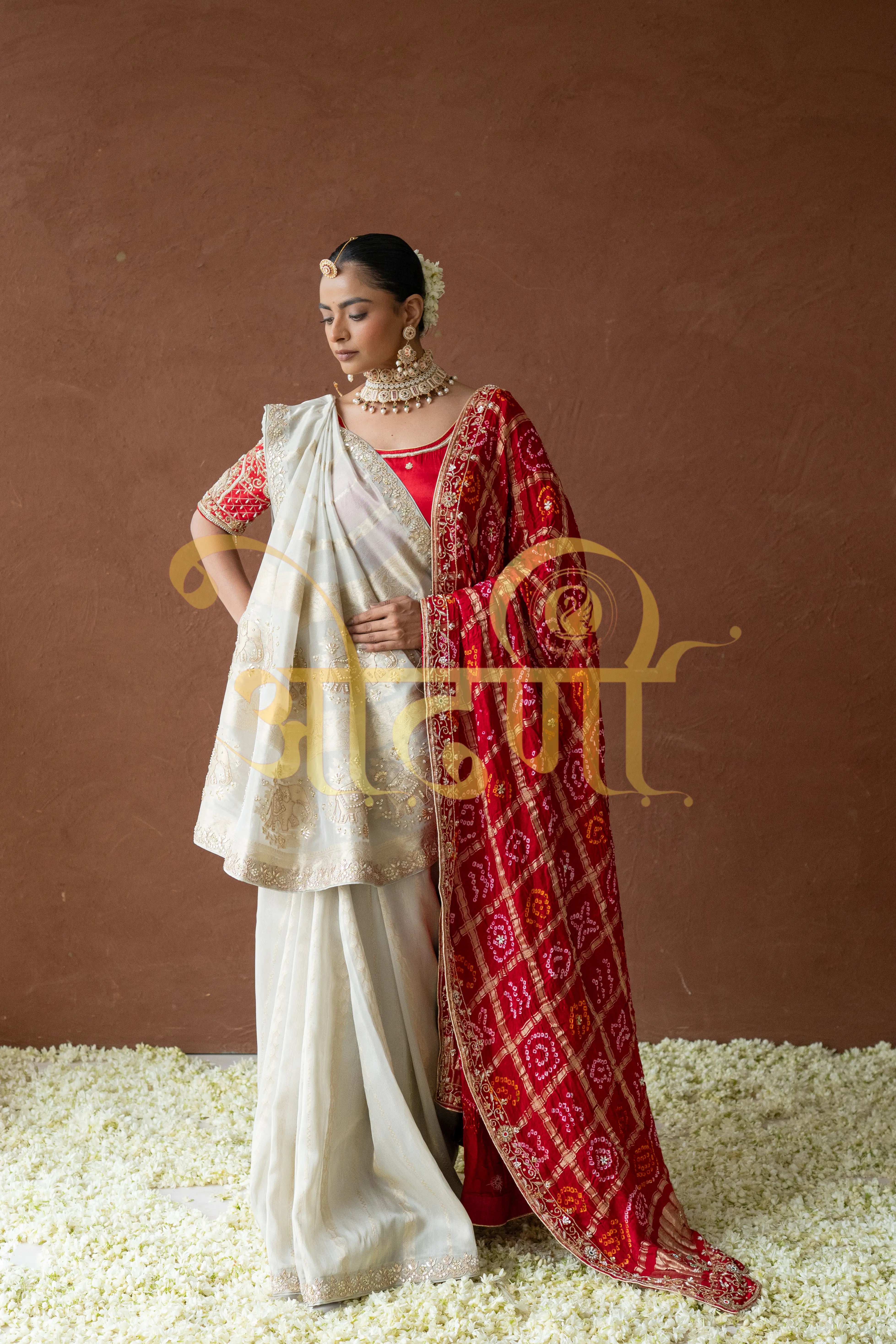 Tissue Silk Saree with Zardozi & Beads Handwork