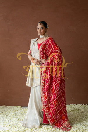 TISSUE SILK SAREE WITH ZARDOZI AND BEATS HANDWORK ##SR0279