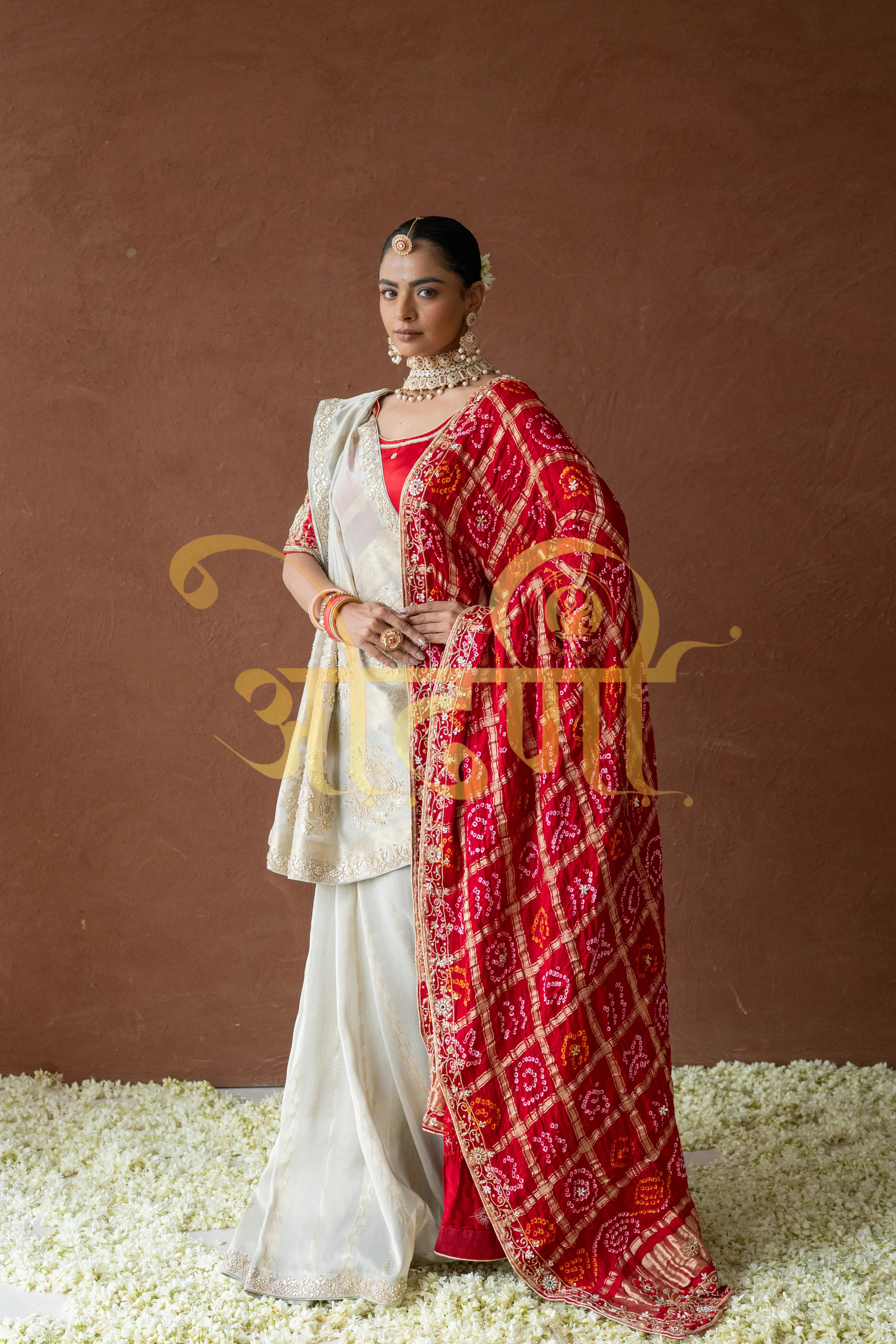 Tissue Silk Saree with Zardozi & Beads Handwork