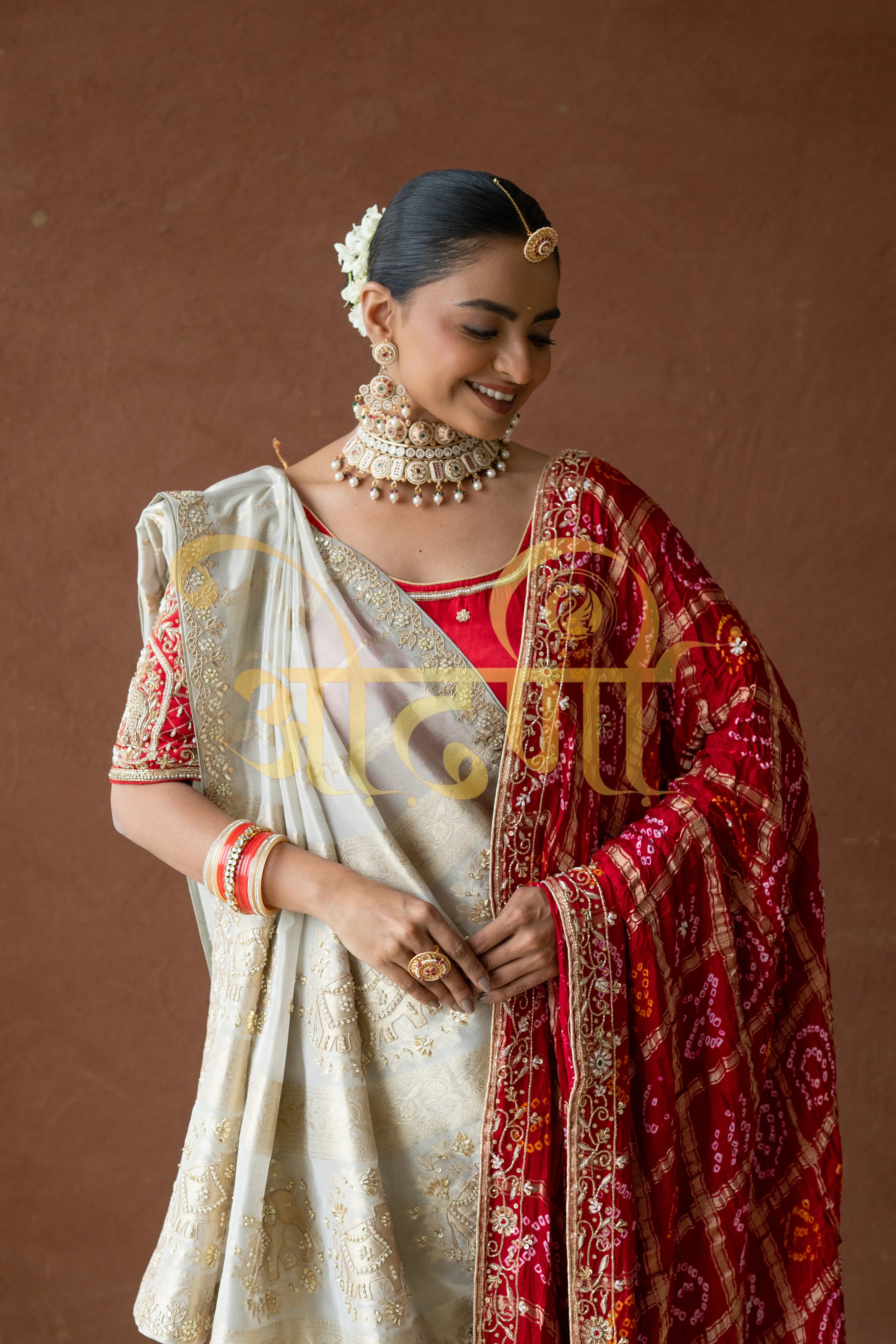 Tissue Silk Saree with Zardozi & Beads Handwork