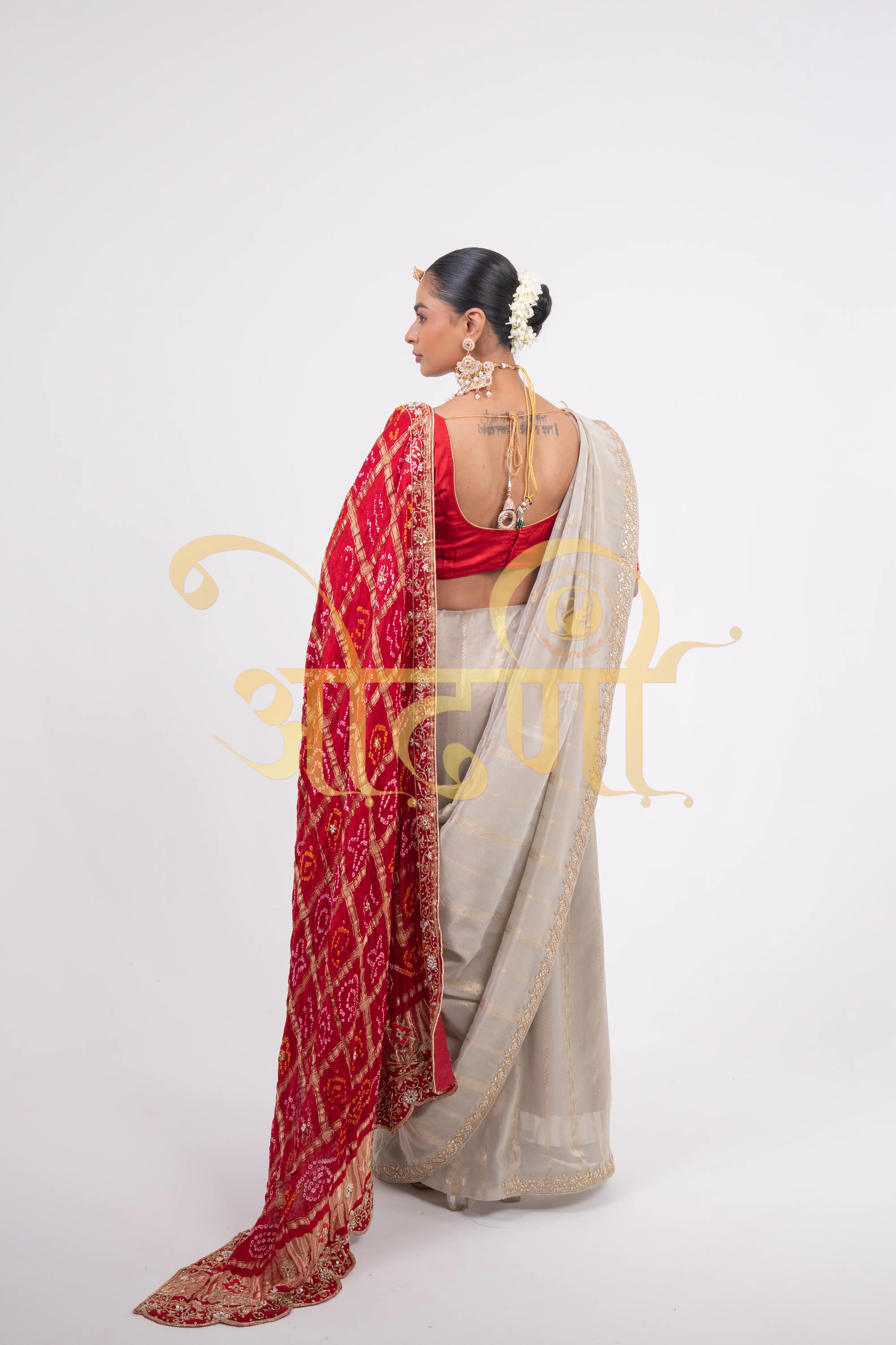 Tissue Silk Saree with Zardozi & Beads Handwork