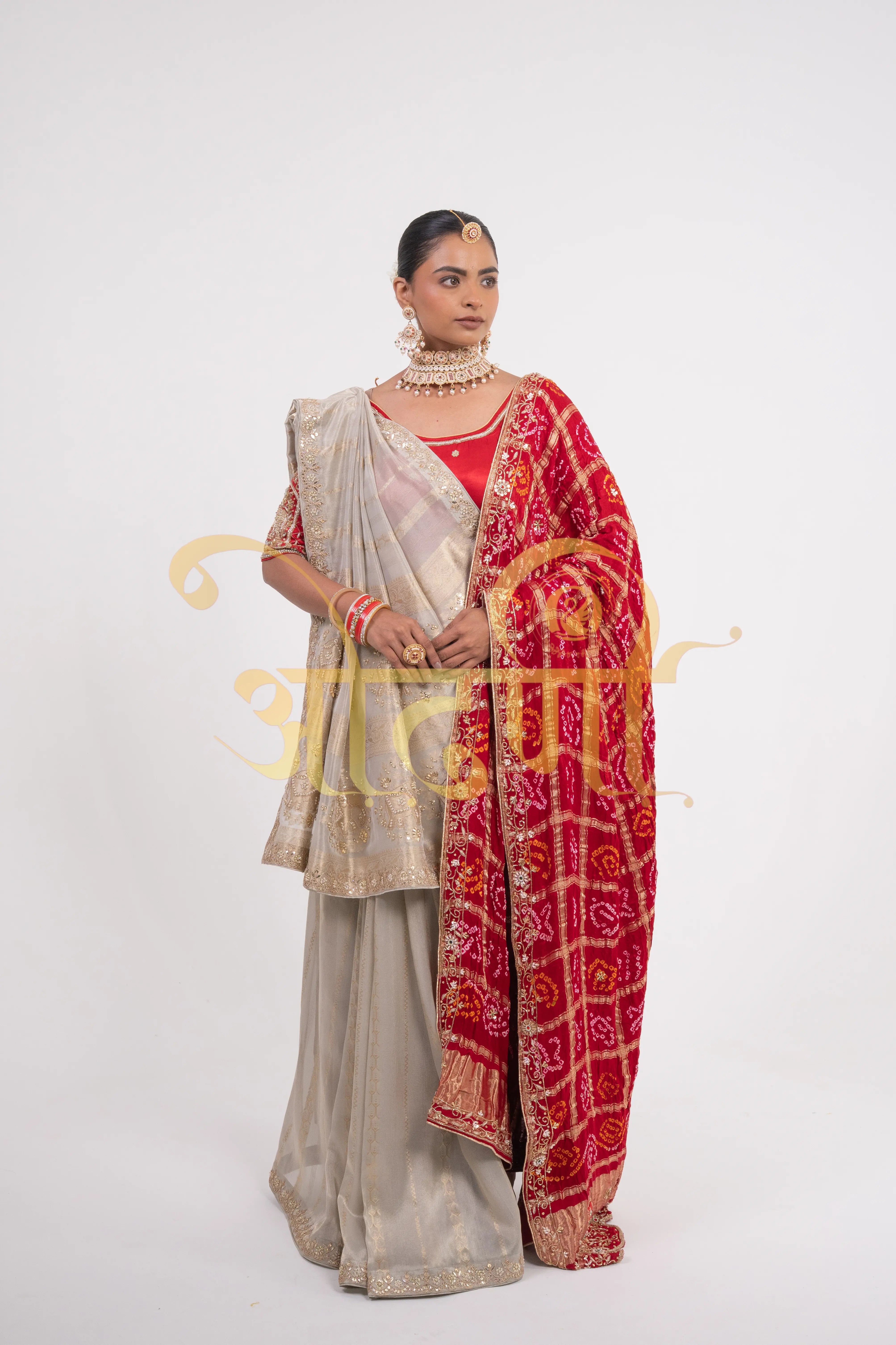 Tissue Silk Saree with Zardozi & Beads Handwork