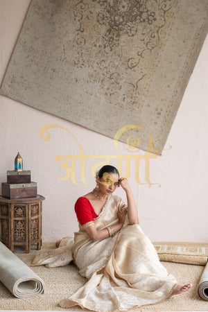HIRA MANDI INSPIRED TISSSUE SILK SAREE WITH CONTRAST RED BLOUSE ##SR0275