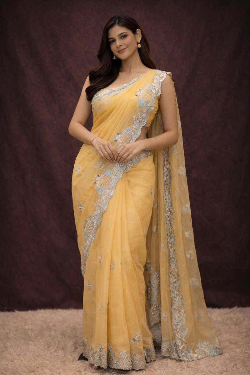 Peacock Design With Pita Work Saree (With Mono Tone Blouse)