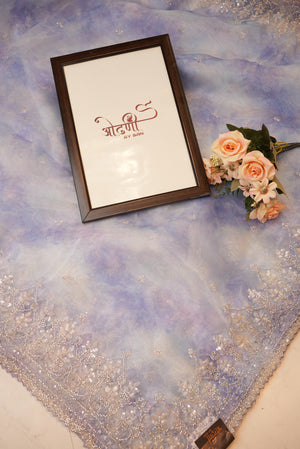 Crystal Tissue Shibori Saree with Handwork Border and Bota