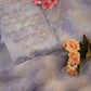Crystal Tissue Shibori Saree with Handwork Border and Bota