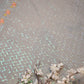 EMBROIDERY AND SEQUENCE WORK PARTY WEAR SAREE (WITH BLOUSE) ##SR086