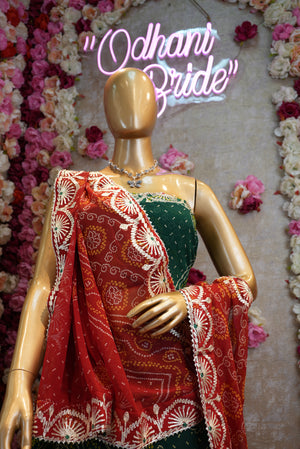 Elegant Embroidered Lehenga