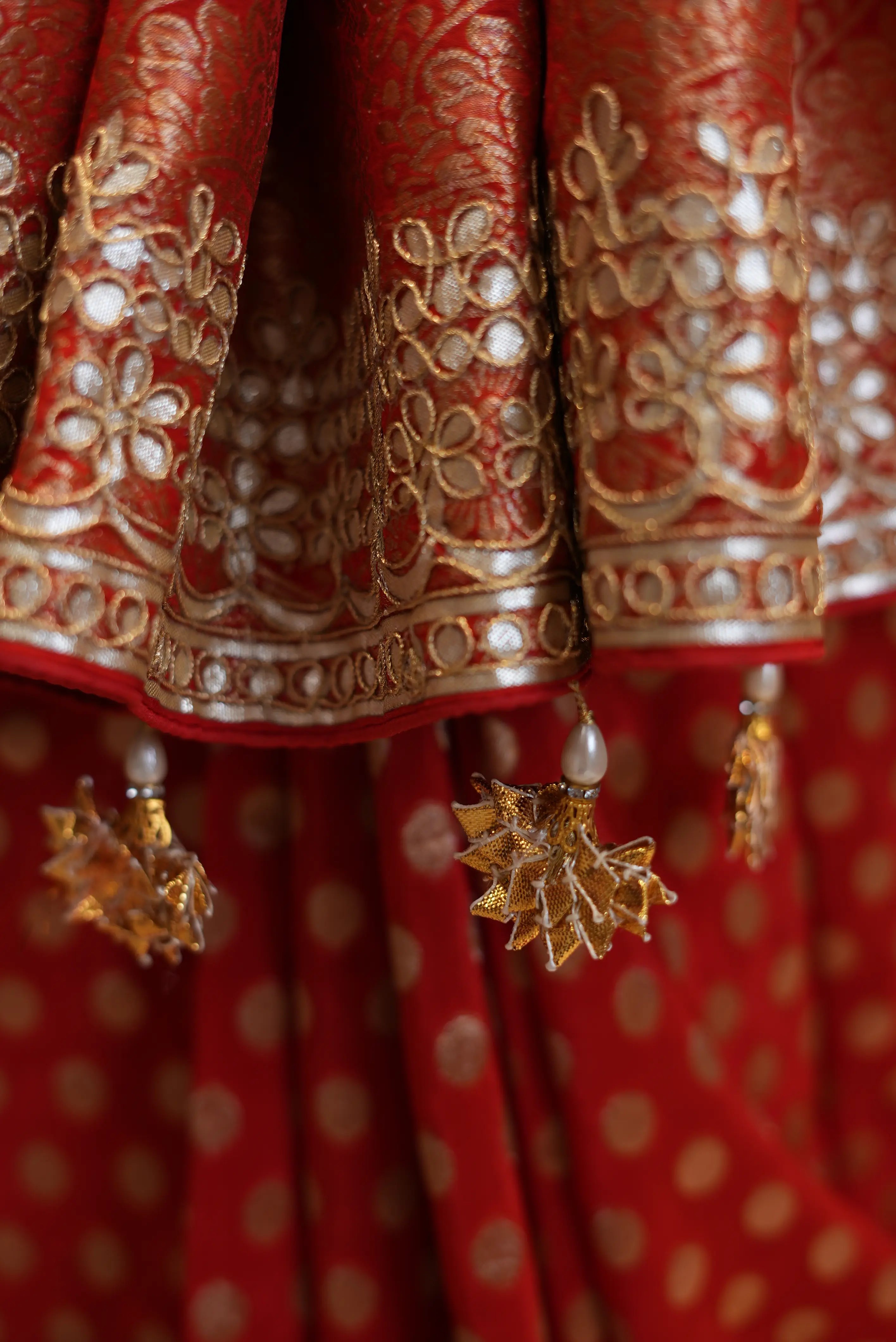 Royal Red Banarasi Style Saree with Golden Zari Work & Elegant Border