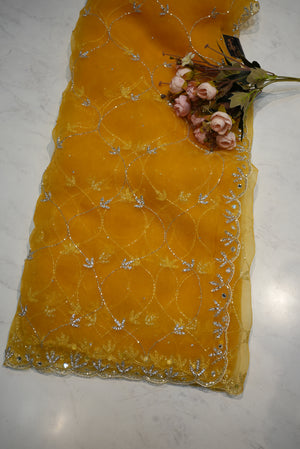 JAAL PATTERN SAREE ON FOUNTAIN FABRIC WITH CUTDANA HANDWORK (WITH BLOUSE)     ##SR0292
