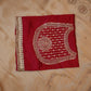 HIRA MANDI INSPIRED TISSSUE SILK SAREE WITH CONTRAST RED BLOUSE ##SR0275