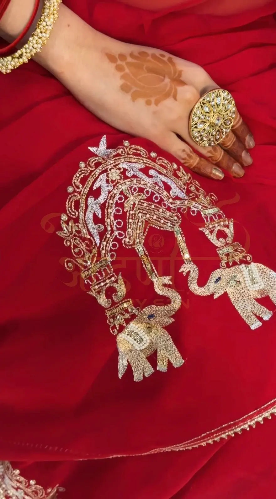 Thakurji Chiffon Saree with Elephant Aari Work & Angi Blouse