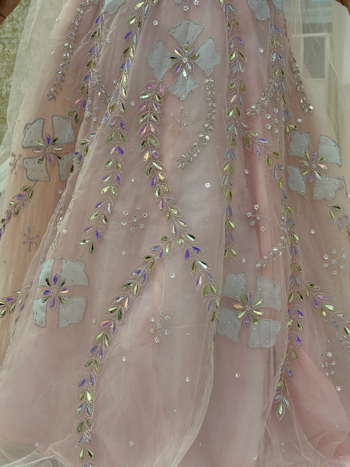 Blush Pink Embellished Net Gown with Cape Sleeves & Crystal Work