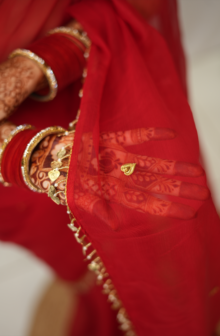 PURE CHIFFON SAREE WITH HEART SHAPE SEQUENCE & BEADS WORK WITH TREDITIONAL RAJASTHANI AANGI BLOUSE (PRE-BOOKING ITEM)